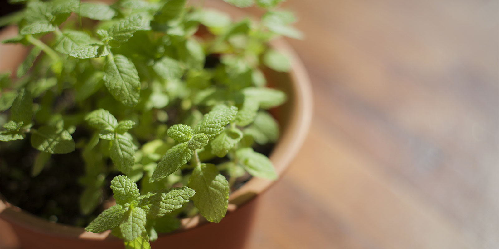 トップページスライダー画像