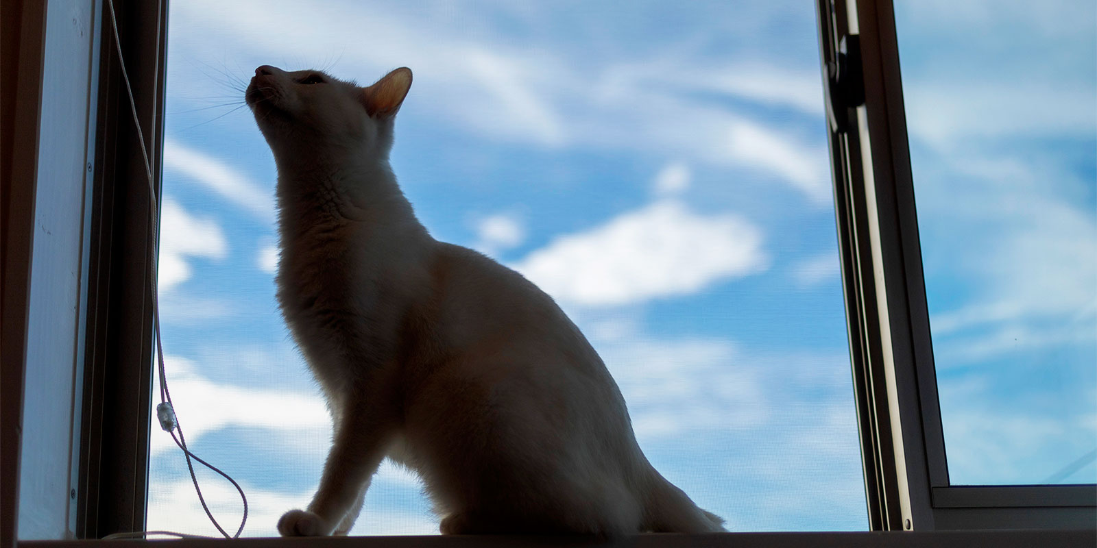 トップページスライダー画像